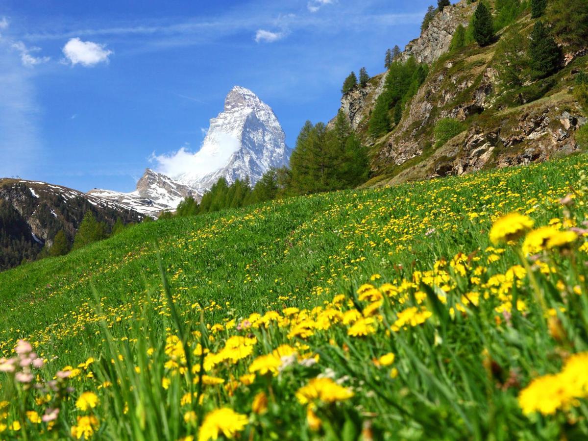 Apartment Imperial-5 By Interhome Zermatt Exterior foto